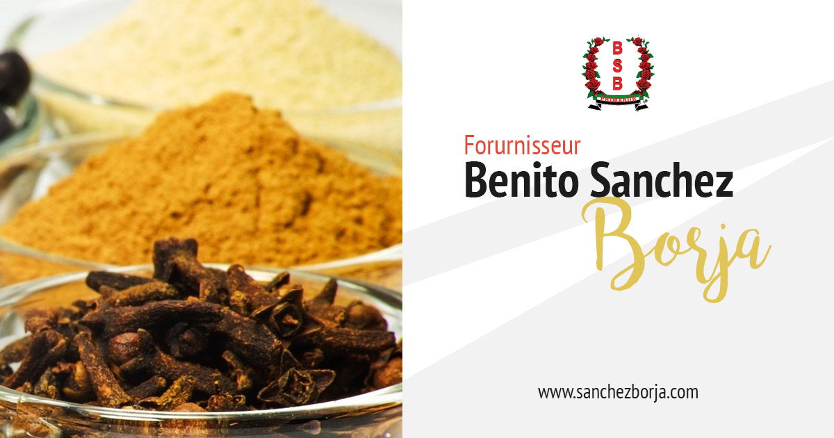 benito sanchez Borja